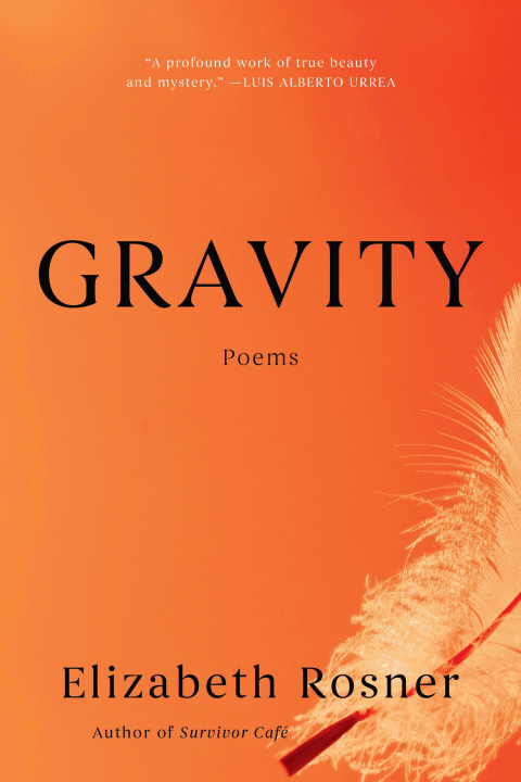 Book Gravity ROSNER ELIZABETH