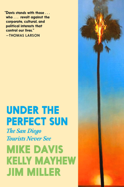 Kniha Under the Perfect Sun Kelly Mayhew