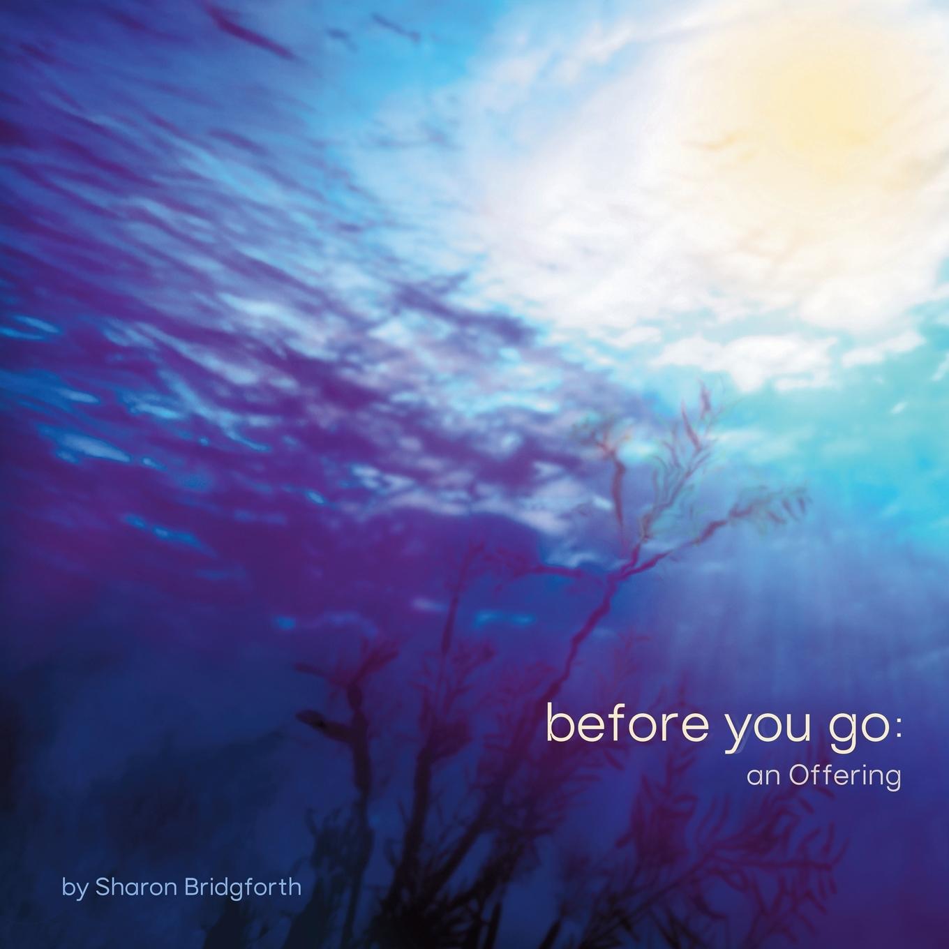 Kniha before you go Sharon Bridgforth