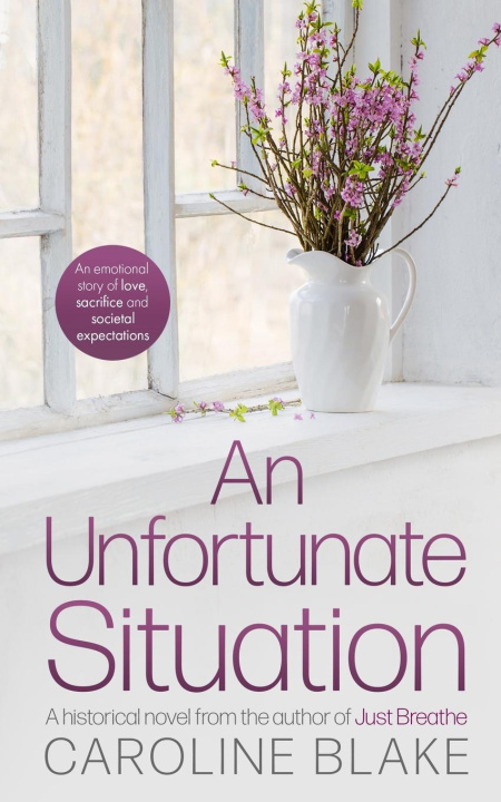 Kniha An Unfortunate Situation Caroline Blake
