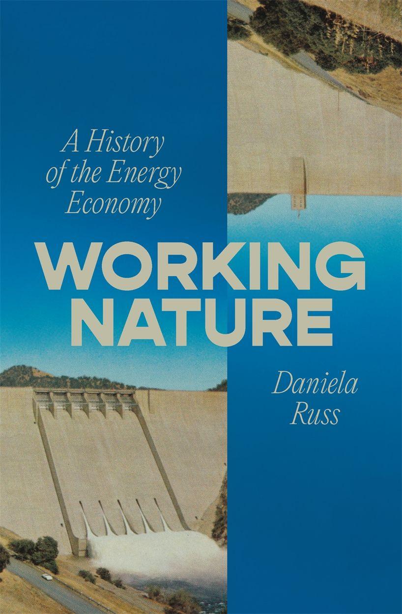 Kniha Working Nature RUSS DANIELA