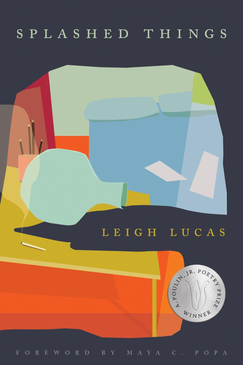 Kniha Splashed Things LUCAS LEIGH
