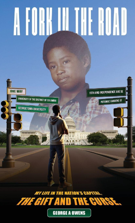 Kniha A Fork in the Road George Owens