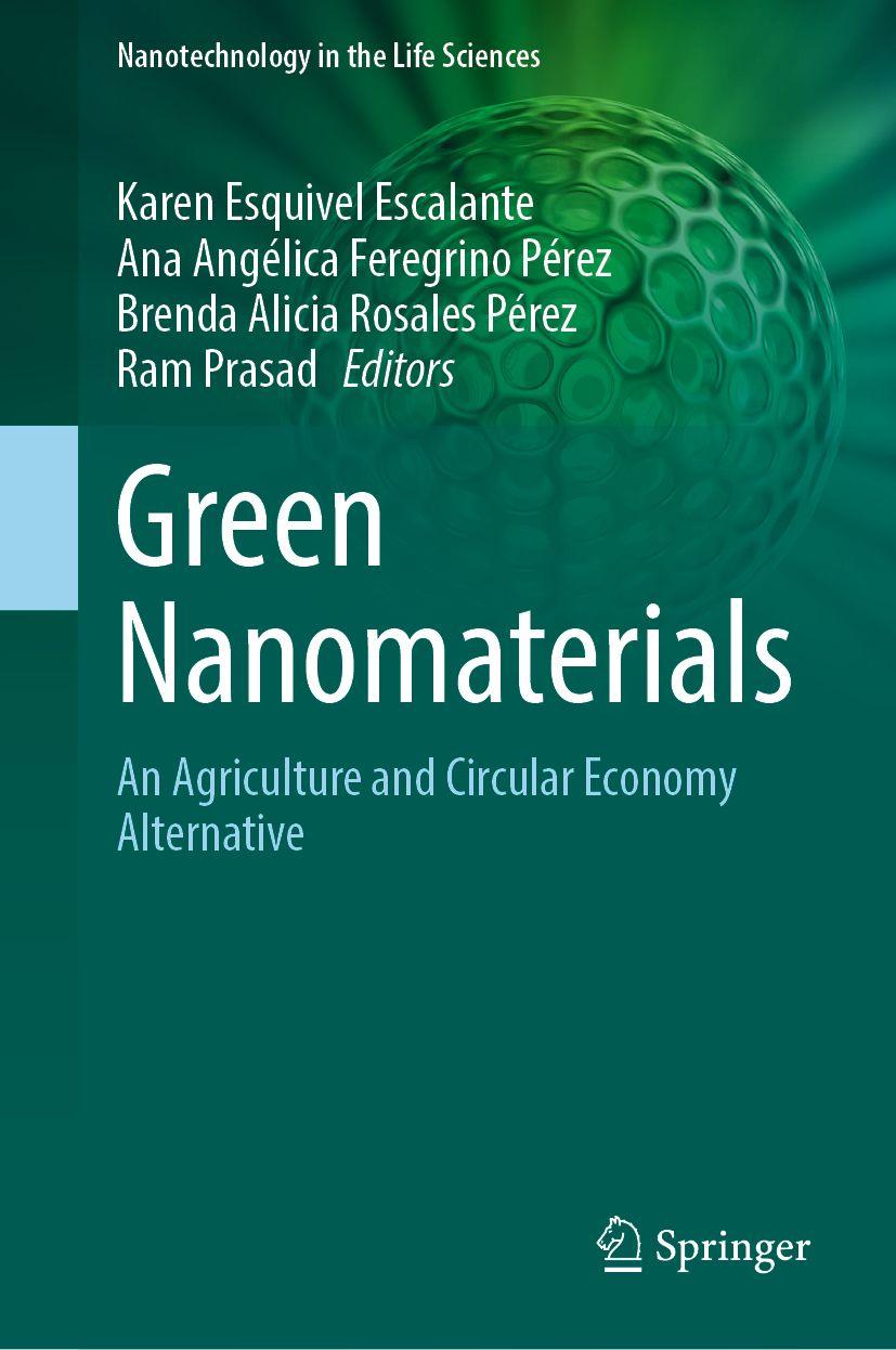 Kniha Green Nanomaterials Ana Angélica Feregrino Pérez