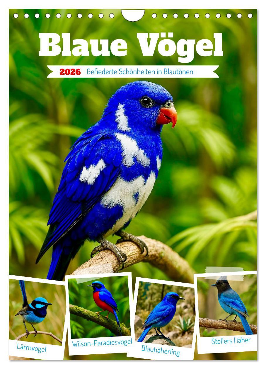 Kalendár/Diár Blaue Vögel (Wandkalender 2026 DIN A4 hoch), CALVENDO Monatskalender Calvendo