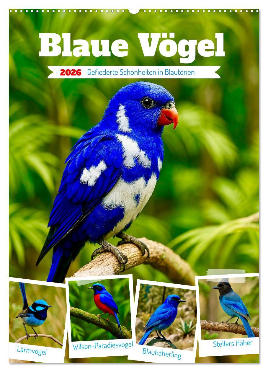 Kalendář/Diář Blaue Vögel (Wandkalender 2026 DIN A2 hoch), CALVENDO Monatskalender Calvendo