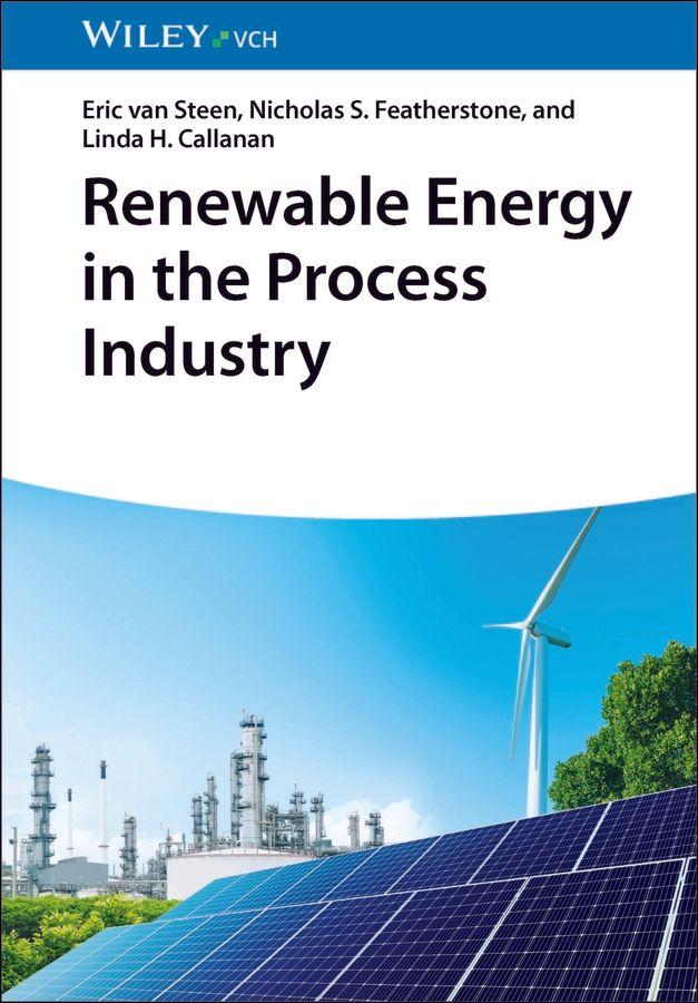 Kniha Renewable Energy in the Process Industry Nicholas S. Featherstone