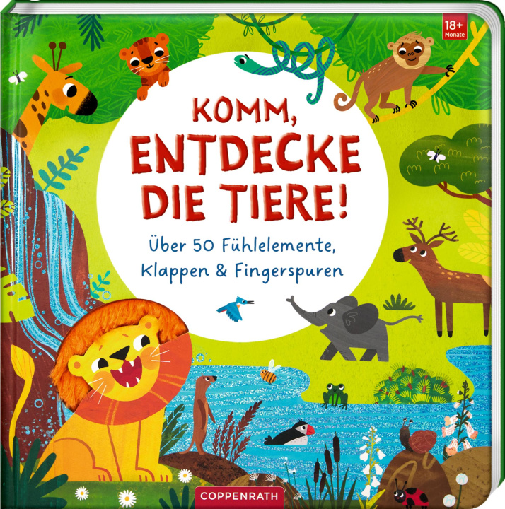 Kniha Komm, entdecke die Tiere! Masha Shu