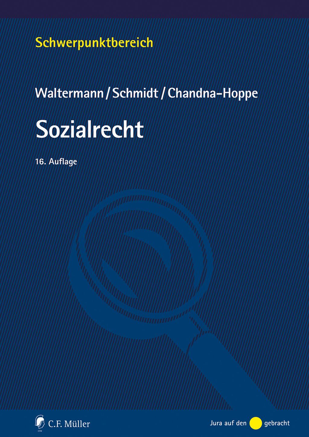 Boek Sozialrecht Benjamin Schmidt