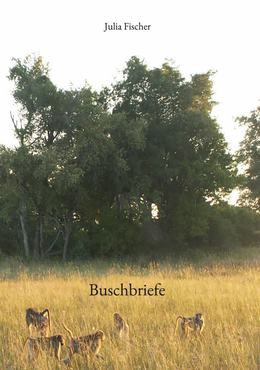Kniha Buschbriefe 