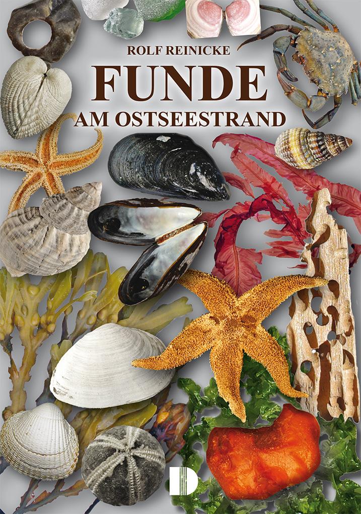 Kniha Funde am Ostseestrand Rolf Reinicke