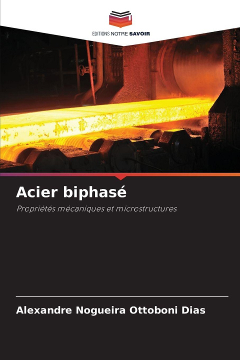 Kniha Acier biphasé Alexandre Nogueira Ottoboni Dias