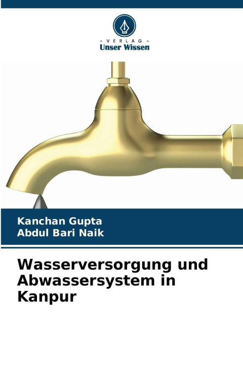 Kniha Wasserversorgung und Abwassersystem in Kanpur Abdul Bari Naik