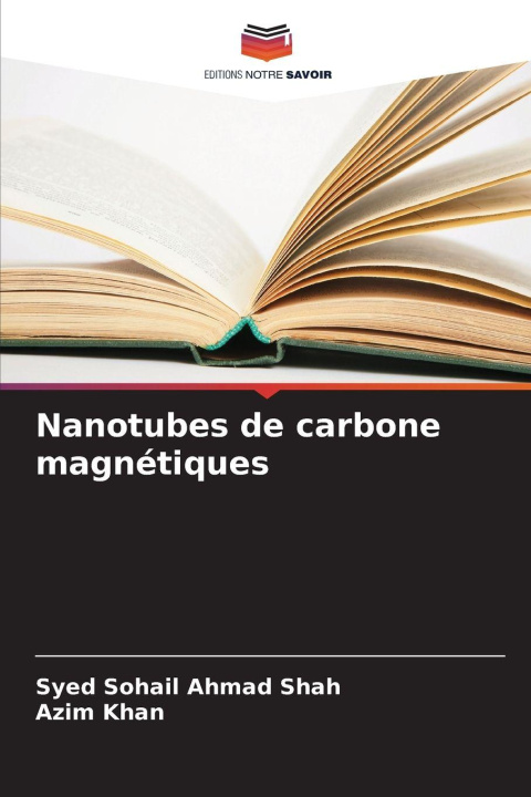 Knjiga Nanotubes de carbone magnétiques Azim Khan
