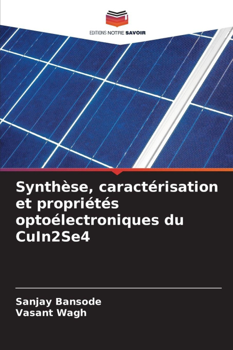 Kniha Synthèse, caractérisation et propriétés optoélectroniques du CuIn2Se4 Vasant Wagh