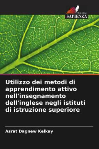 Kniha Utilizzo dei metodi di apprendimento attivo nell'insegnamento dell'inglese negli istituti di istruzione superiore Asrat Dagnew Kelkay