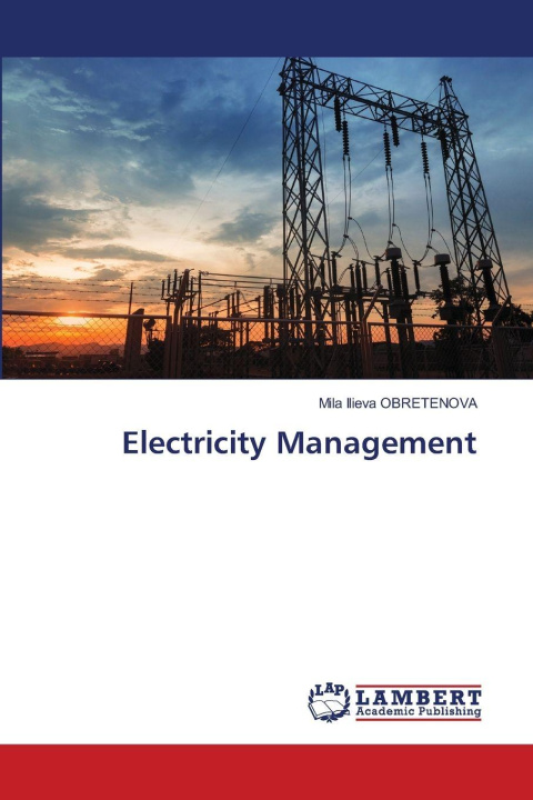 Kniha Electricity Management Mila Ilieva Obretenova