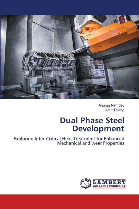 Kniha Dual Phase Steel Development Amit Telang