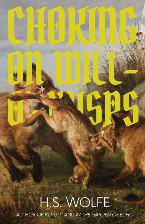 Kniha Choking on Will-O'-Wisps H.S. Wolfe