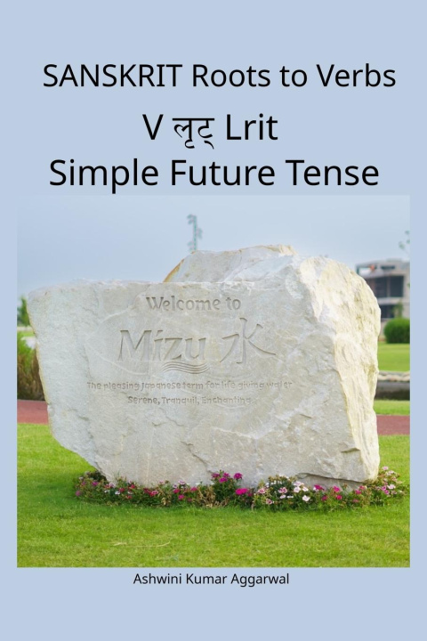 Kniha Sanskrit Roots to Verbs V Lrit Simple Future Tense Ashwini Kumar Aggarwal