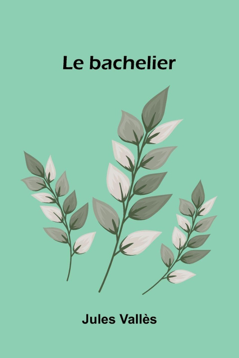 Kniha Le bachelier Jules Vall s