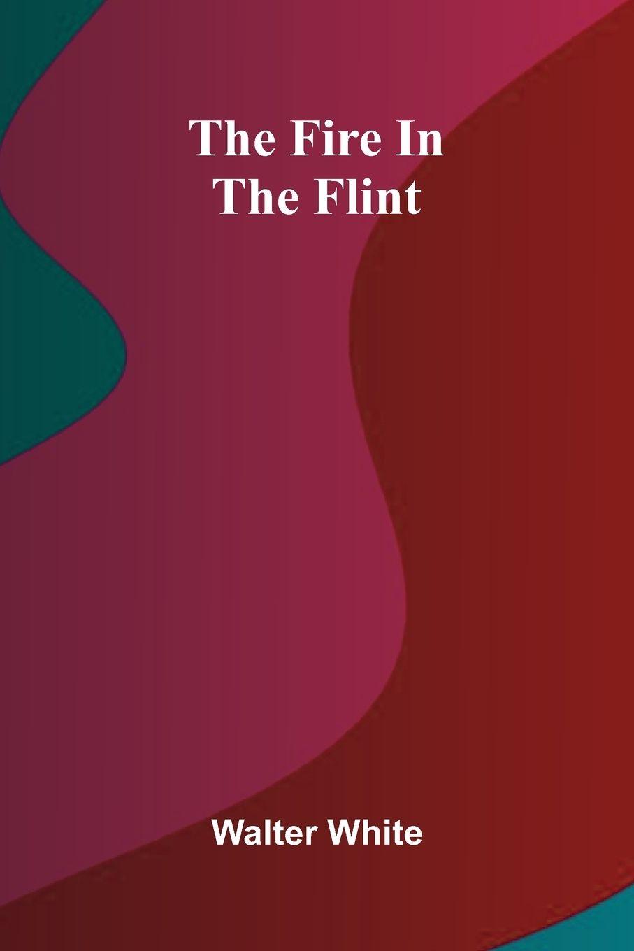 Kniha The fire in the flint Walter White