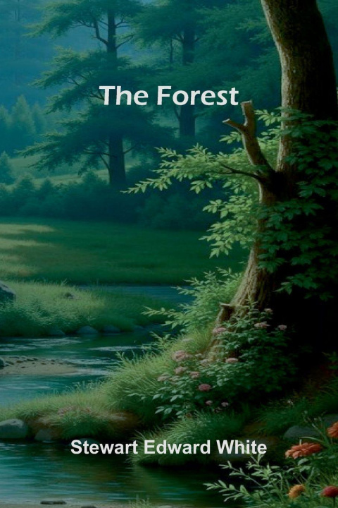 Kniha The Forest Stewart Edward White