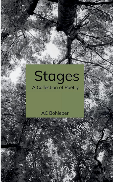 Βιβλίο Stages AC Bohleber