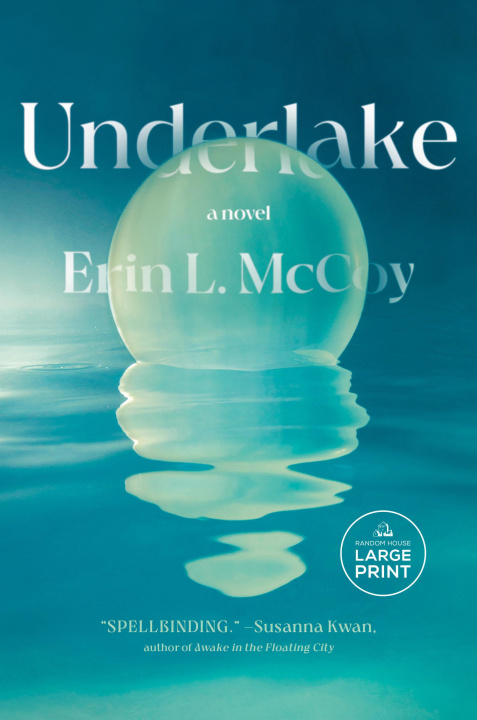 Kniha Underlake MCCOY ERIN L