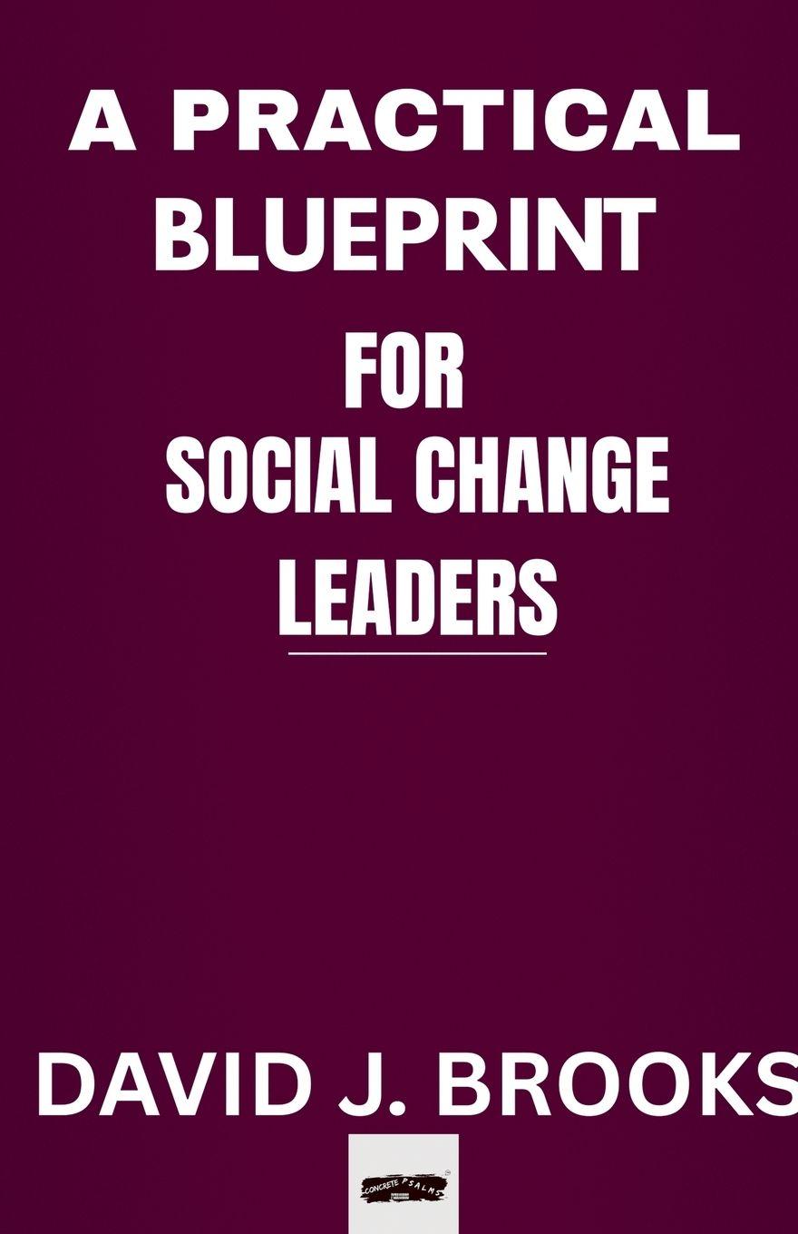 Libro A Practical Blueprint For Social Change Leaders David J. Brooks