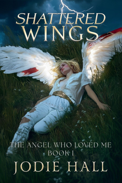 Kniha Shattered Wings Jodie Hall
