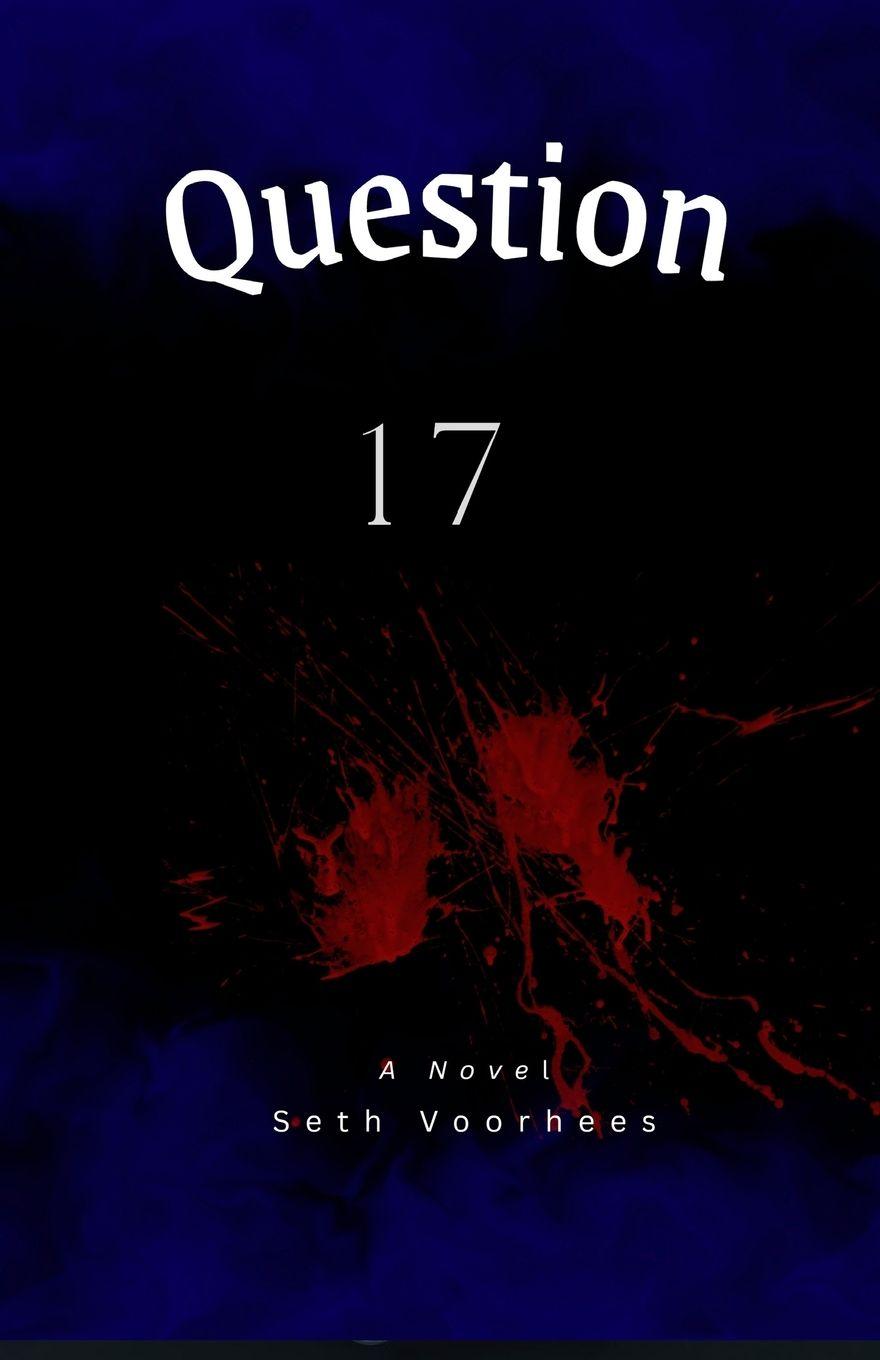 Kniha Question 17 Seth Voorhees