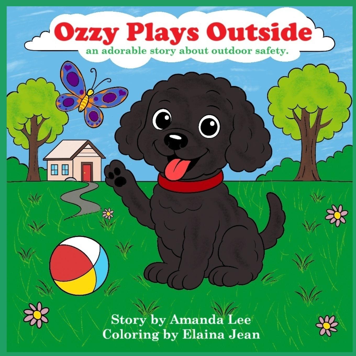 Kniha Ozzy Plays Outside Amanda Lee