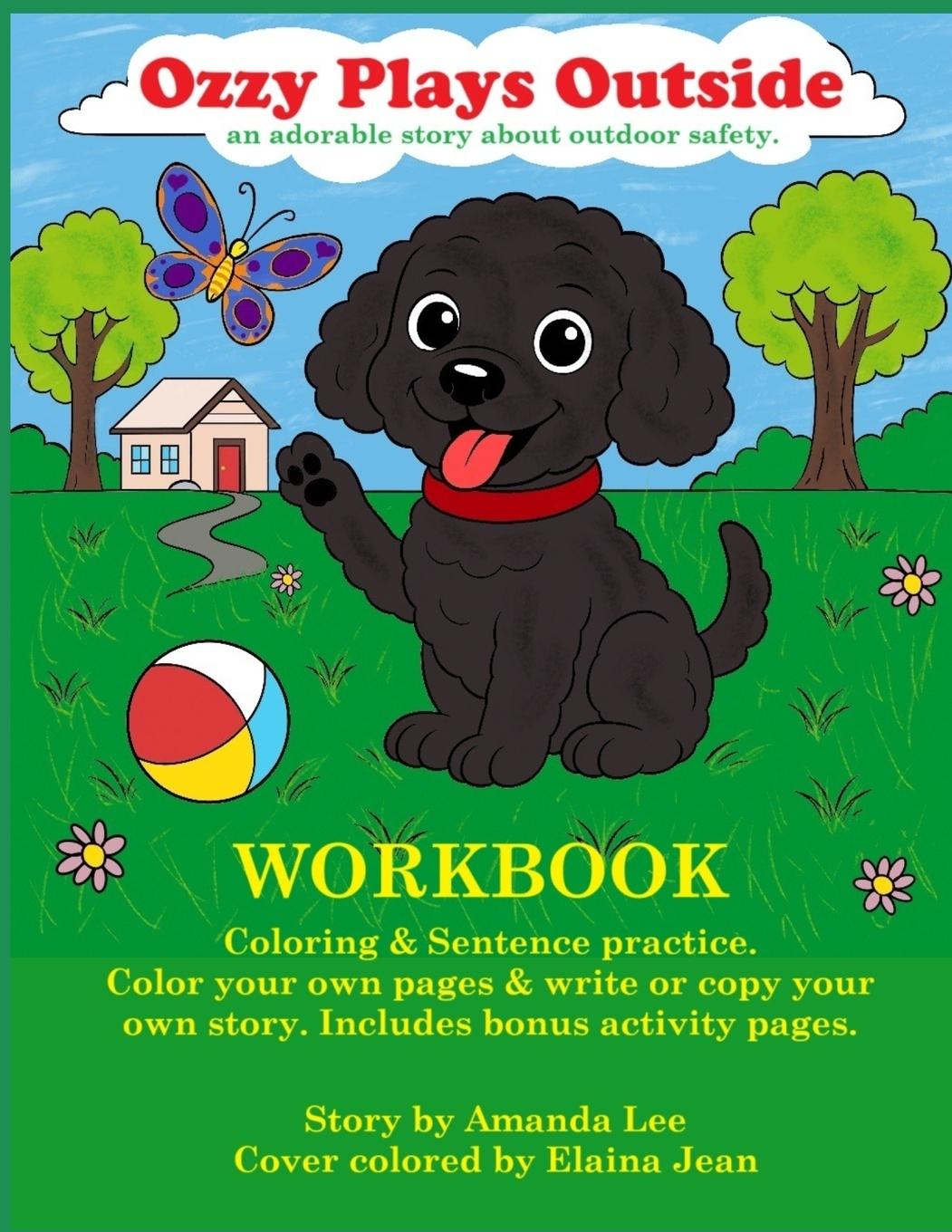 Kniha Ozzy Plays Outside -Workbook Amanda Lee