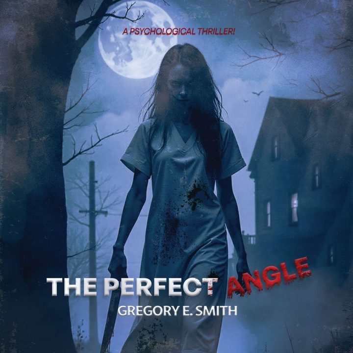 Knjiga THE PERFECT ANGLE GREGORY E. SMITH