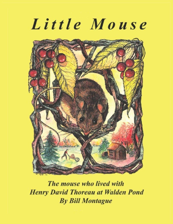 Kniha Little Mouse Bill Montague