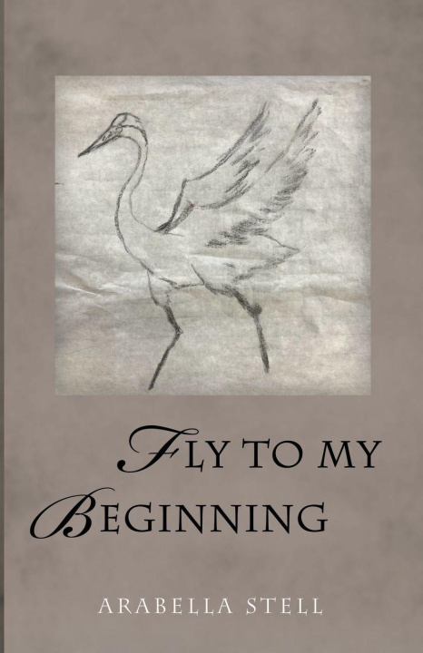 Knjiga Fly to My Beginning Arabella Stell