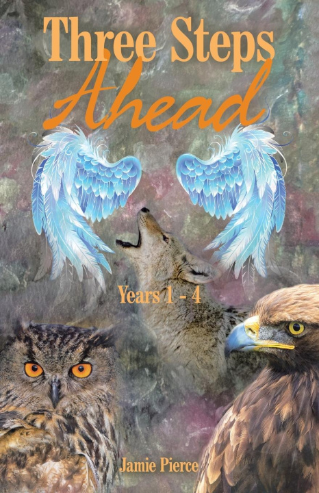 Kniha Three Steps Ahead Jamie Pierce