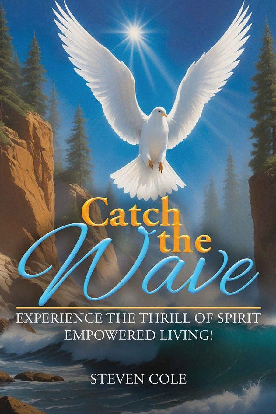 Buch Catch the Wave Steven Cole