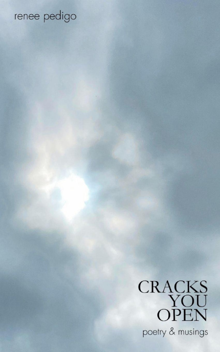 Kniha Cracks You Open Renee Pedigo