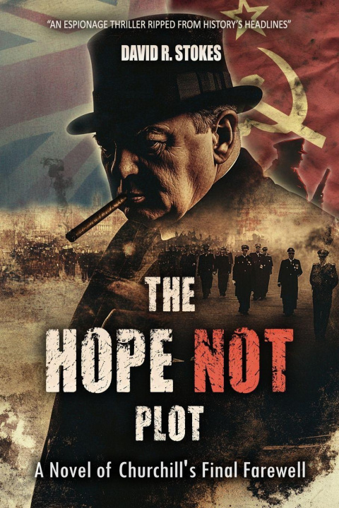 Kniha The Hope Not Plot David R. Stokes