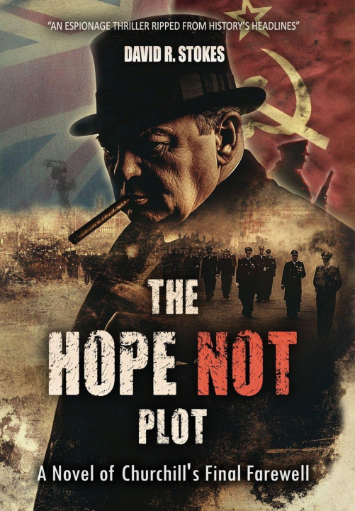 Kniha The Hope Not Plot David R. Stokes