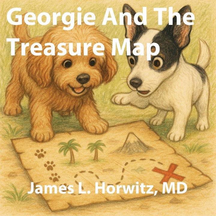 Kniha Georgie And The Treasure Map James Horwitz