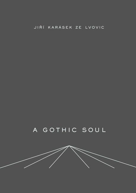 Knjiga Gothic Soul Jiri Karasek