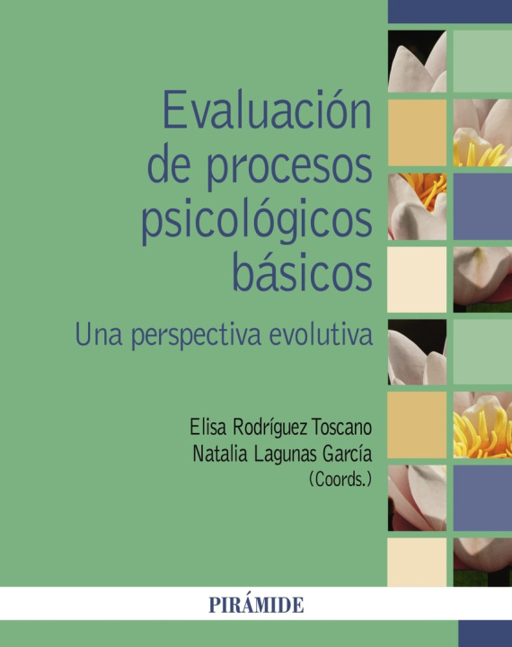 Kniha EVALUACION DE PROCESOS PSICOLOGICOS BASICOS NATALIA / RODRIGUEZ TOSCANO