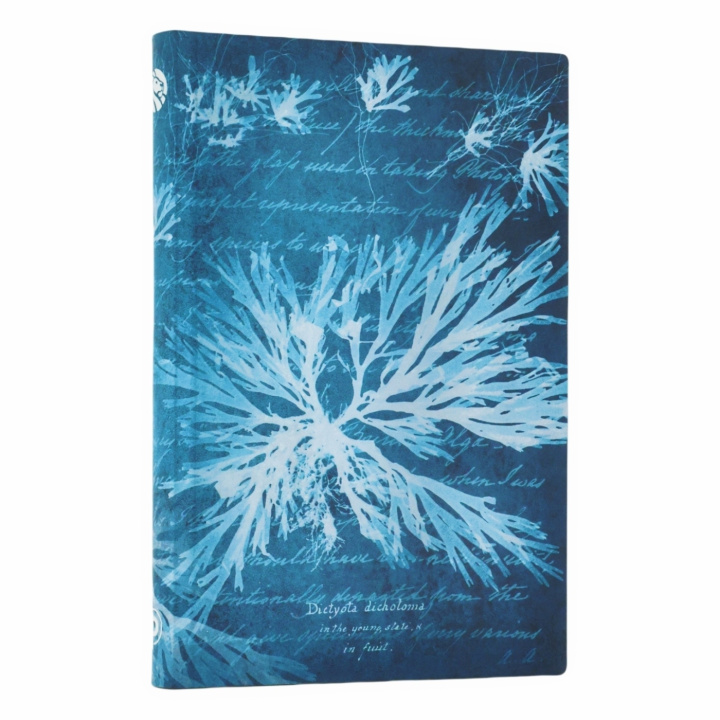 Book SEA FLOWERS MINI SC JOURNAL PAPERBLANKS