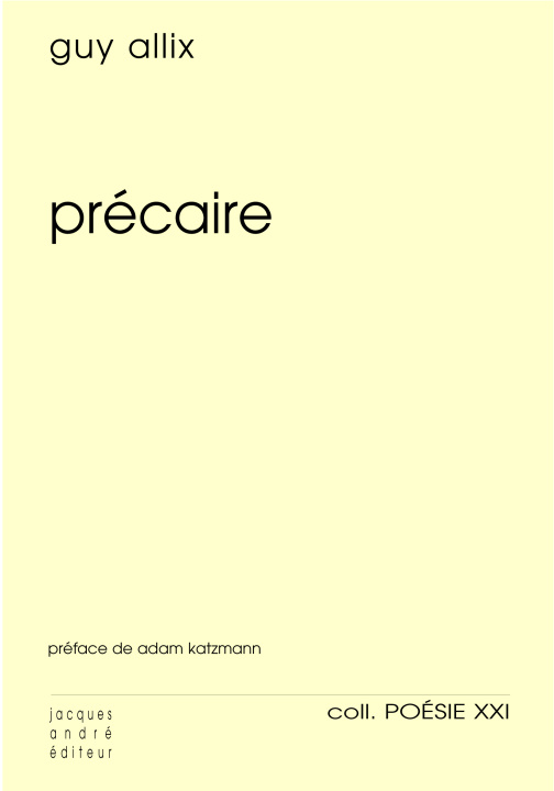 Kniha Précaire Allix