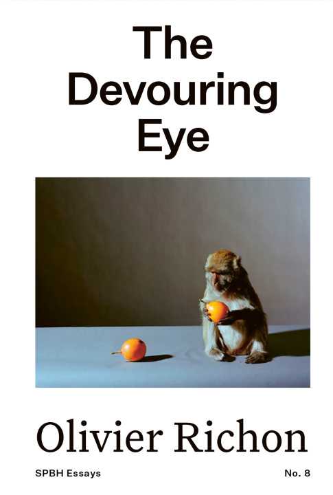 Book The Devouring Eye Richon