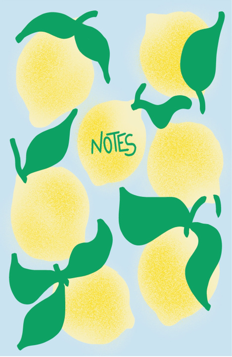 Book Carnet Citrons Hello Editions