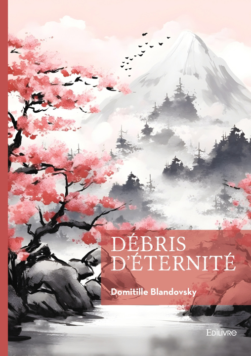 Kniha Débris d'éternité Domitille Blandovsky